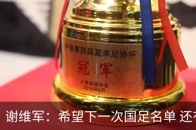 谢维军：希望下一次国足名单 还有我的名字